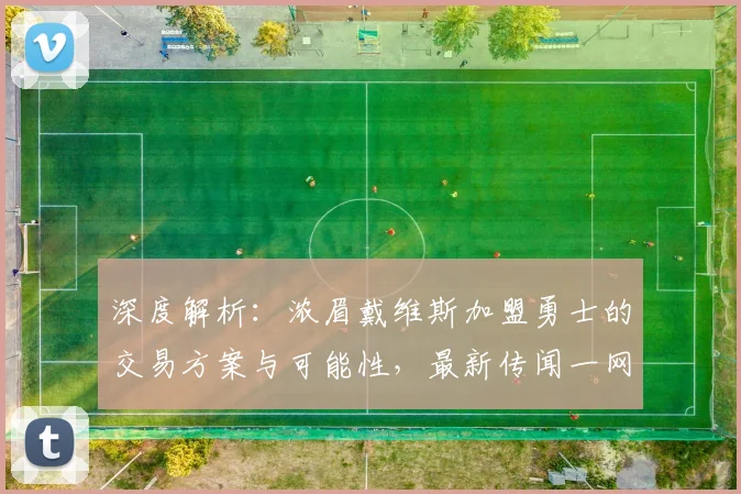 深度解析:浓眉戴维斯加盟勇士的交易方案与可能性,最新传闻一网打尽